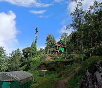 Dawaipani