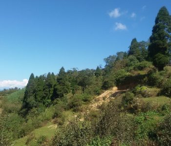 Simana